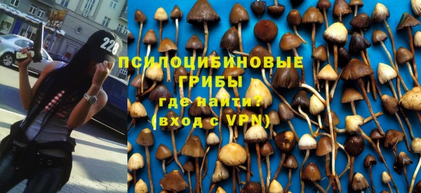 СК Нефтегорск