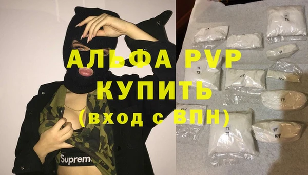 СК Нефтегорск