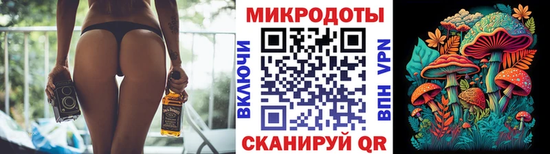магазин продажи наркотиков Дербент Псилоцибиновые грибы Psilocybe